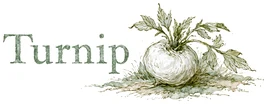 ターニップ（Turnip）